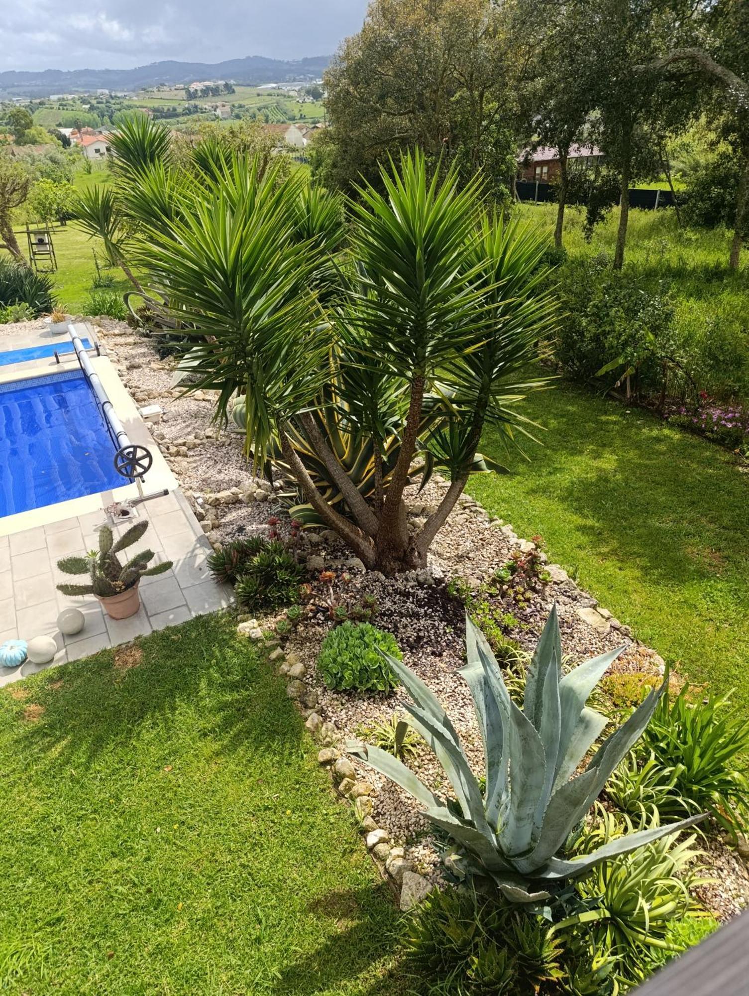Gite Canto Azul Casal da Carreira Exterior photo